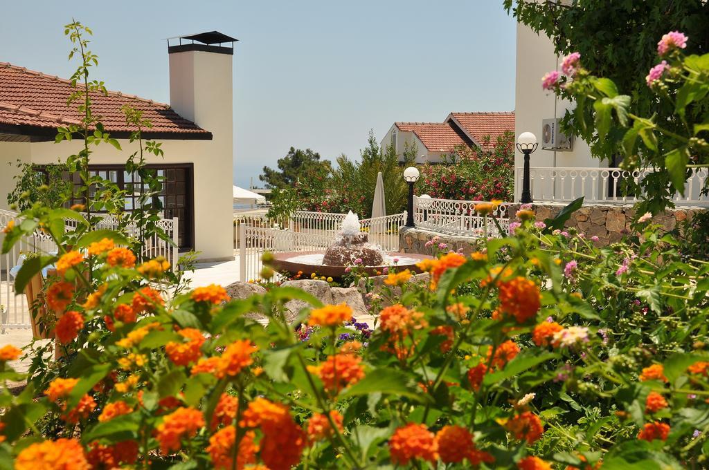 Nicholas Park Hotel Oludeniz Ngoại thất bức ảnh